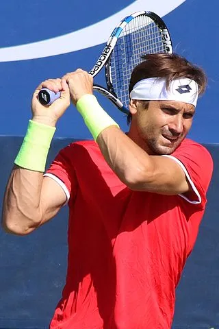 david-ferrer-quiz