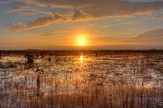 everglades-national-park-quiz
